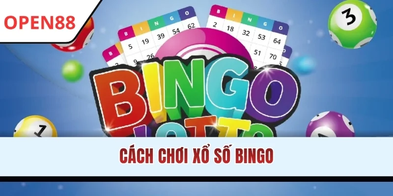 Cách Chơi Xổ Số Bingo OPEN88 Chuẩn Xác Và Bí Mật Chiến Thắng